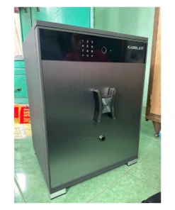 Két sắt Kassler 55LS7-BG Xám BG