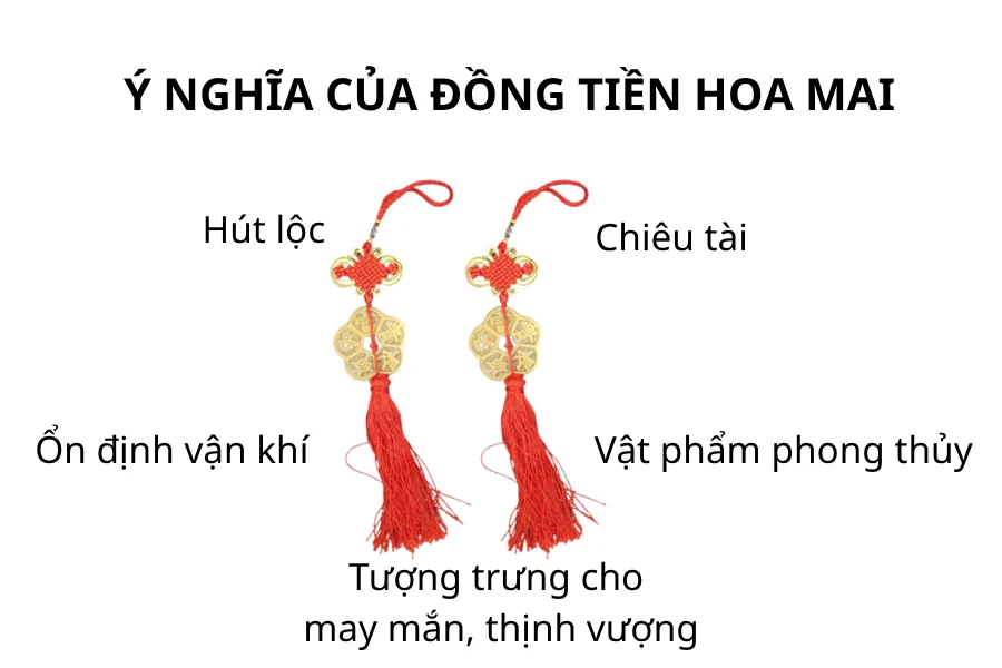 Ý nghĩa của đồng tiền hoa mai
