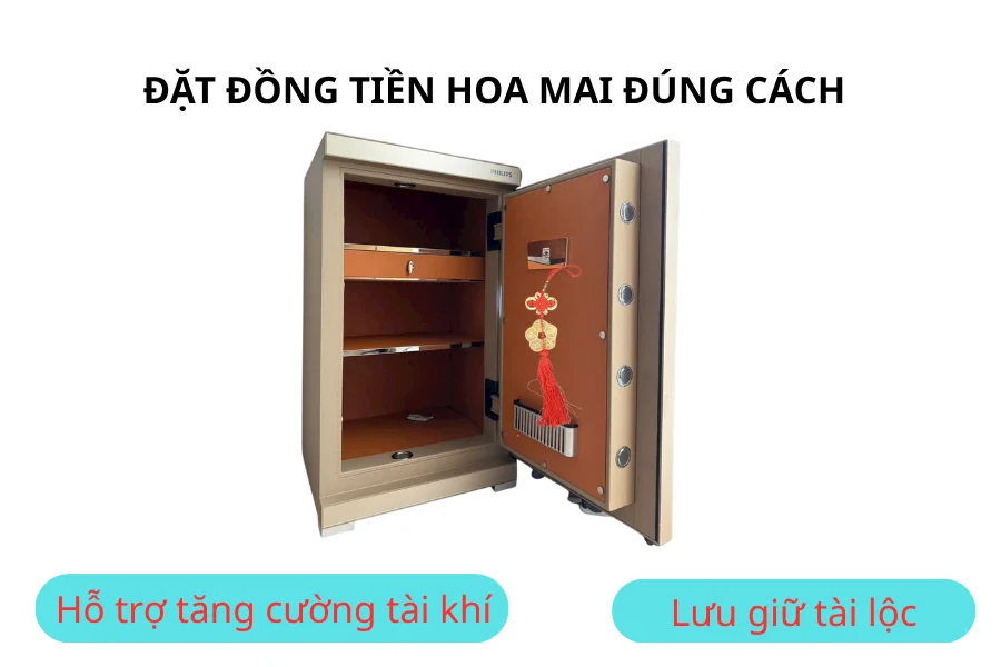 Đặt đồng tiền hoa mai đúng cách