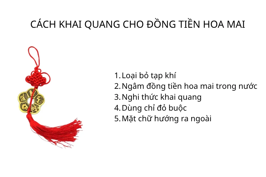 Cách khai quang cho đồng tiền hoa mai