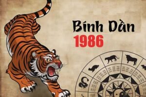 Tuổi Bính Dần 1986 đặt két sắt hướng nào tốt?