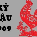 Cung phi giúp xác định nhóm hướng phù hợp cho nam và nữ
